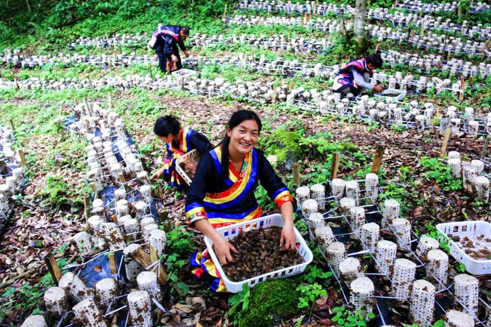 喜獲豐收展笑顏。次仁央宗攝