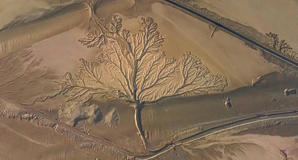 壯觀的“大地之樹”。邊巴多吉攝