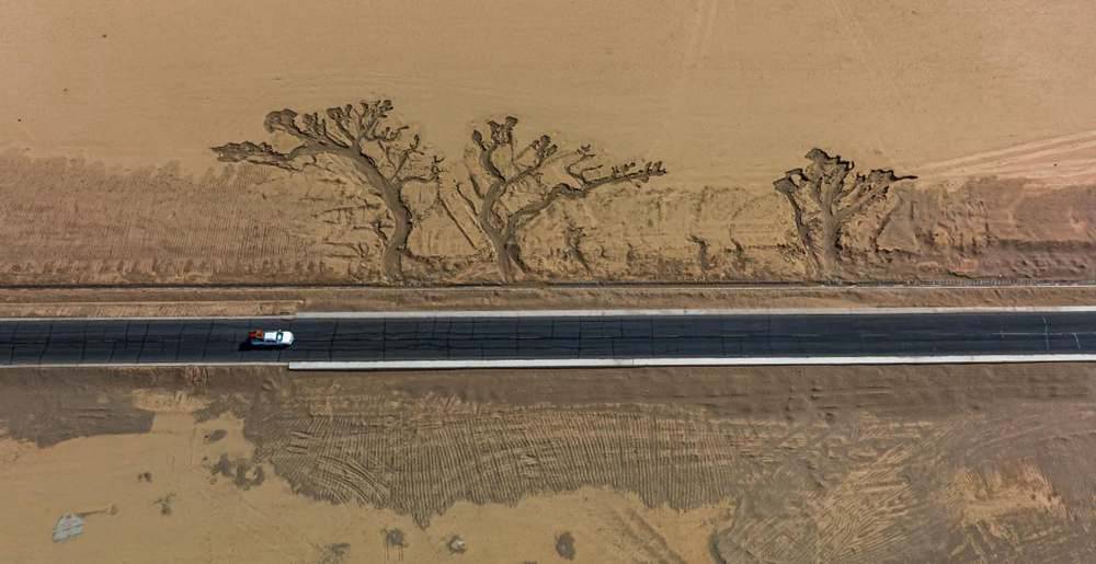 位于國道216沿線的“大地之樹”。邊巴多吉攝