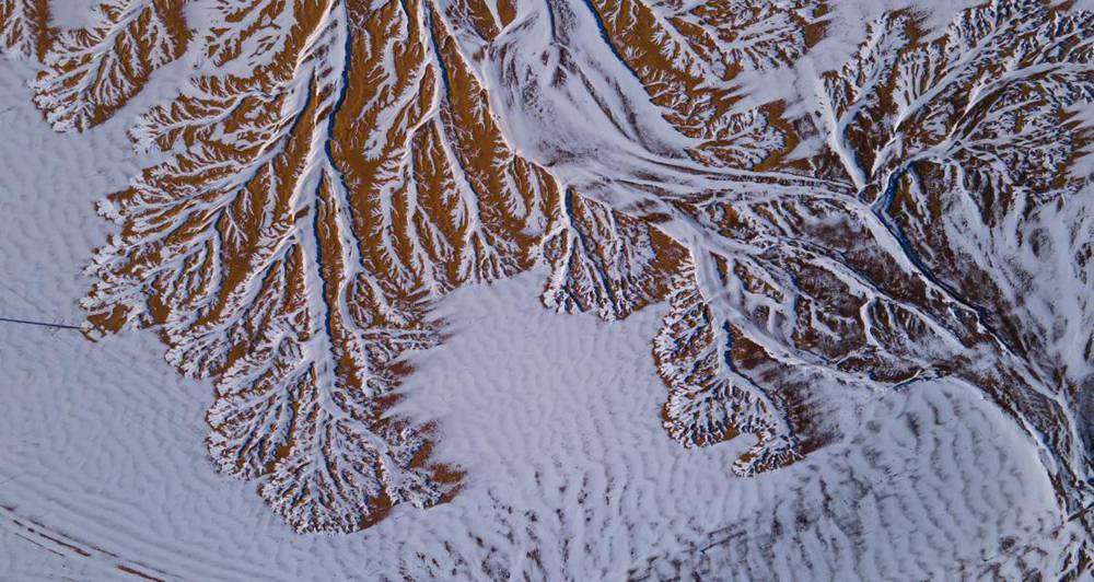 栩栩如生的枝干。邊巴多吉攝