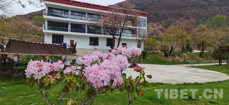 微信圖片_20230818204754.jpg 微信圖片_20230818204754.jpg