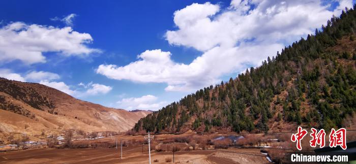 甘肅藏區(qū)牧民增收添新徑:高原中藥材走俏國際市場(chǎng)