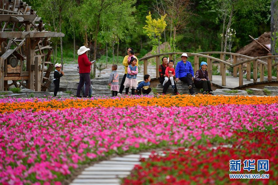(脫貧攻堅)(1)甘南藏區(qū):全域旅游打造鄉(xiāng)村振興“綠色引擎”