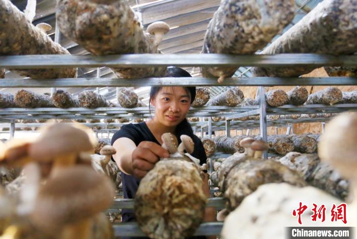 甘肅天?！跋愎椒蚱蕖毕律饺氪ǎ捍笈锢镉板X景”