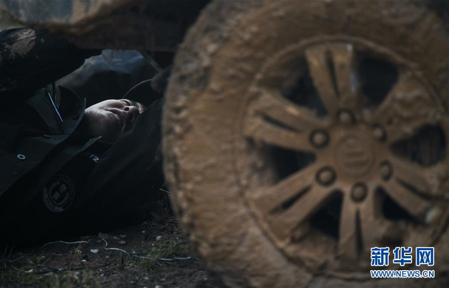 （圖文互動）（8）記者手記：可可西里，“挪”向“藏羚羊大產(chǎn)房”的14個半小時