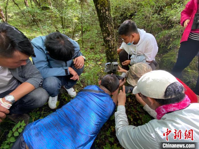 圖為訪客正在查看紅外相機(jī)中的拍攝畫面。　李江寧 攝