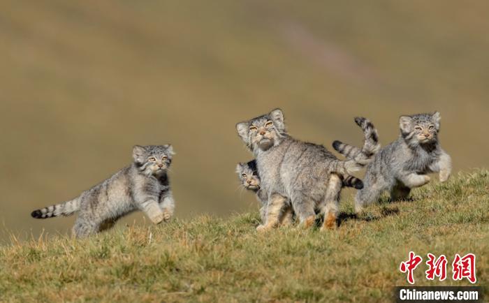 圖為李善元獲獎(jiǎng)作品《當(dāng)媽媽說(shuō)跑步前進(jìn)》?！±钌圃?攝