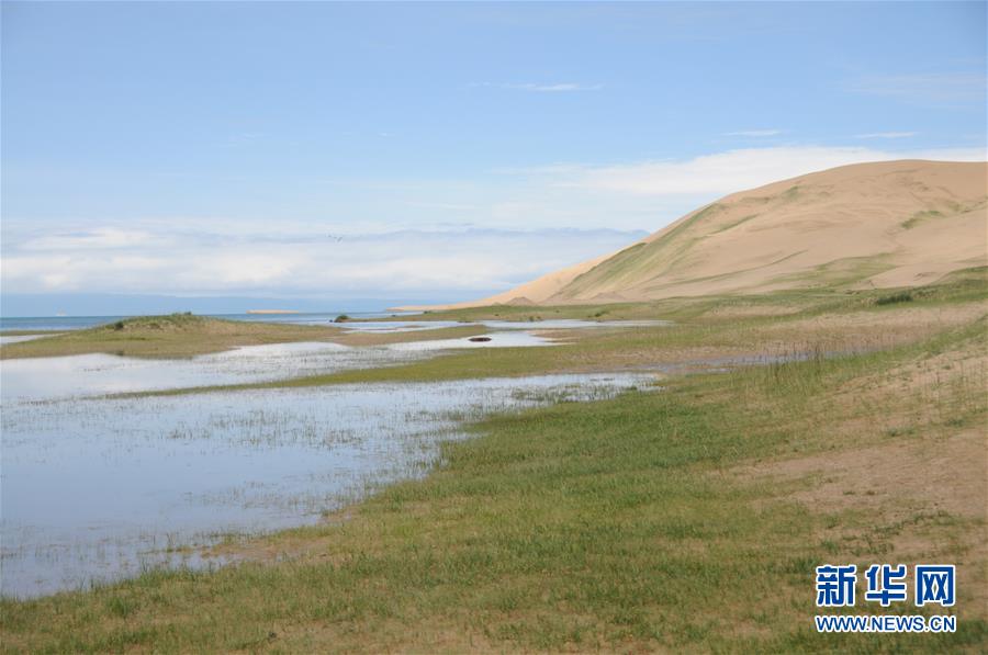 (新華全媒頭條·圖文互動)(12)大湖見證 ——持續(xù)保護讓青海湖生態(tài)華麗“蝶變”