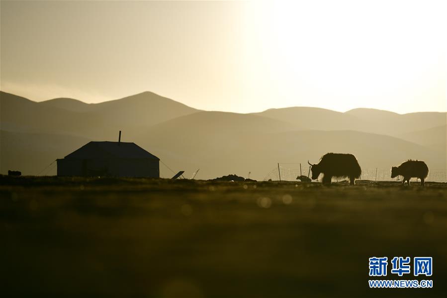 (社會)(5)青海稱多:生態(tài)畜牧業(yè)奏響牧歌