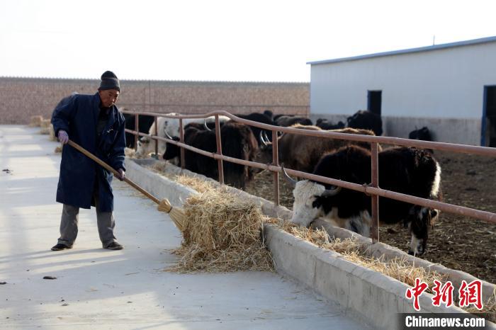 柴達木盆地蓮湖村：讓致富村民生活“?！逼饋? oldsrc=