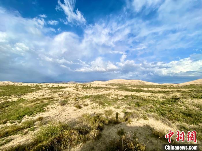 圖為關(guān)停四年后的沙島景區(qū)現(xiàn)狀?！±罱瓕?攝