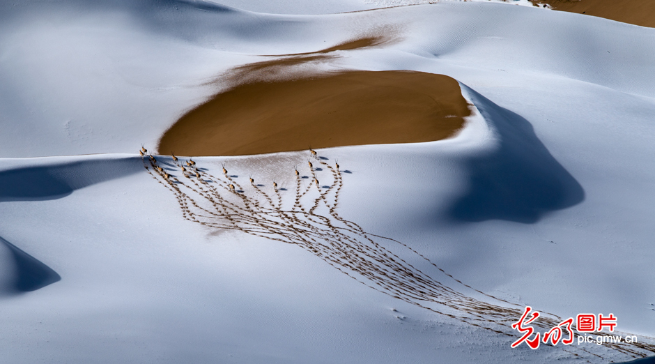 三江源國家公園正式設立，這是青海生態(tài)文明建設的新答卷