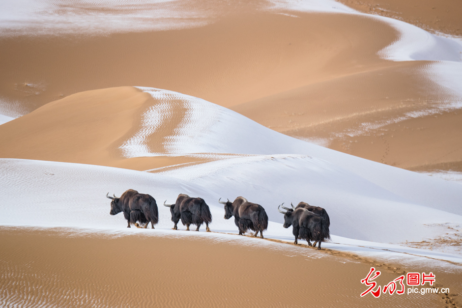 三江源國家公園正式設立，這是青海生態(tài)文明建設的新答卷