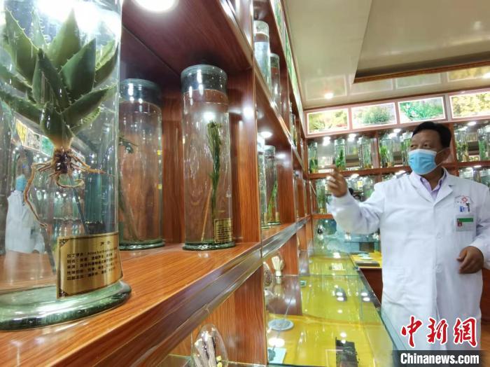 甘肅省甘南藏族自治州碌曲縣藏醫(yī)院副院長(zhǎng)看照加近30年的從醫(yī)工作，堅(jiān)持中藏醫(yī)特色優(yōu)勢(shì)相結(jié)合診療方法?！堟?攝