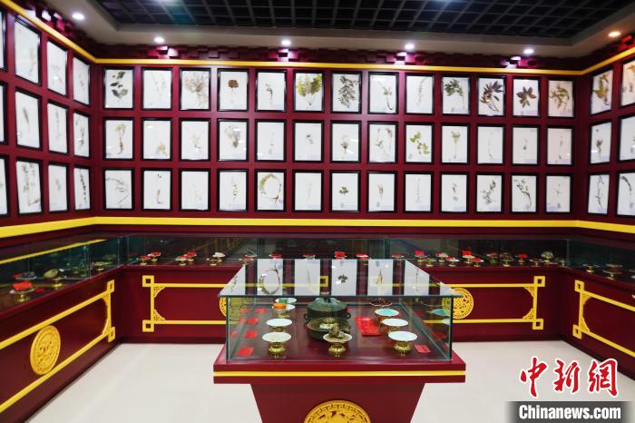 圖為藏藥臘葉標(biāo)本?！●R銘言 攝