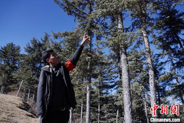 圖為桑杰加介紹林場樹木?！●R銘言 攝