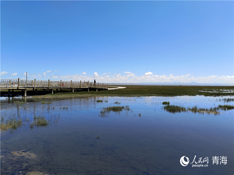   青海湖仙女灣。人民網(wǎng) 張莉萍攝