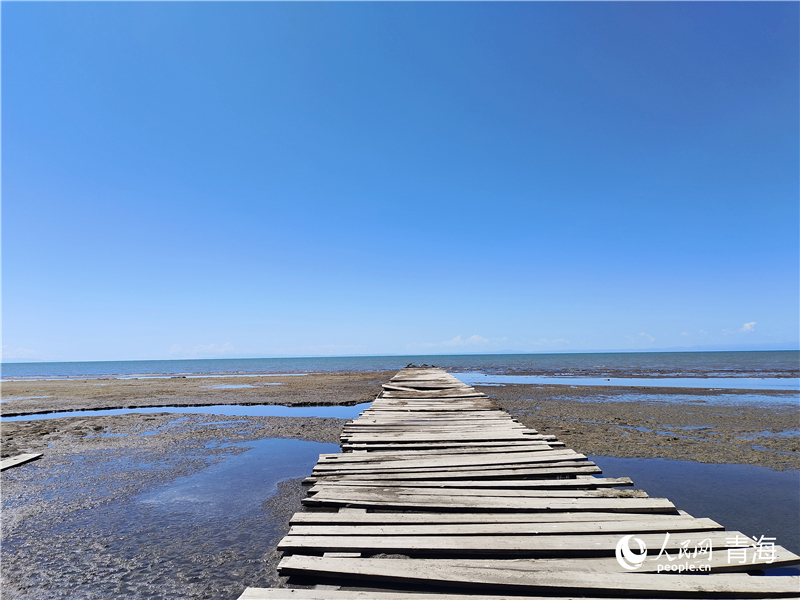   青海湖仙女灣。人民網(wǎng) 張莉萍攝
