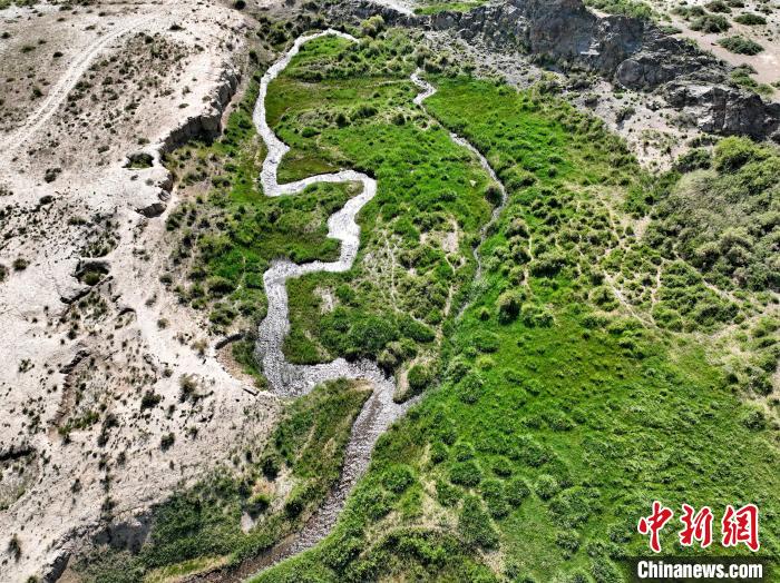 圖為航拍都蘭湖國(guó)家濕地公園綠意盎然?！∑钤鲚?攝