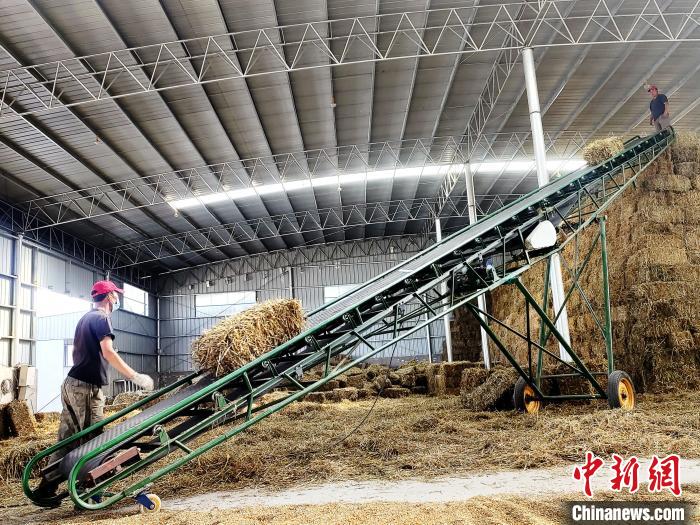 圖為飼草打捆、儲(chǔ)存?！●R芝芬 攝