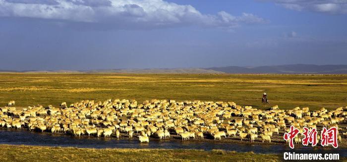青?,敹唷鞍渍渲椤弊尠傩斟X袋鼓起來