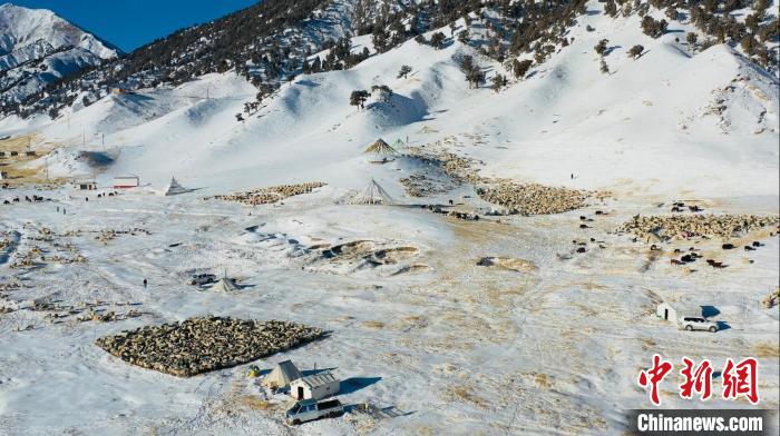 圖為無人機航拍牧場?！《继m縣融媒體中心供圖