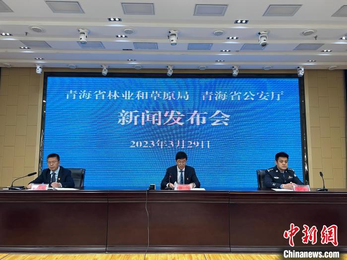 青海去年占用林地、草地準(zhǔn)予許可件同比實(shí)現(xiàn)“雙減”