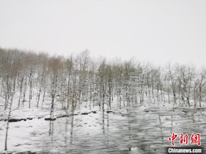 圖為青海青沙山區(qū)域被降雪覆蓋。　張?zhí)砀?攝