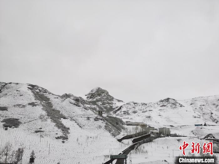 圖為青海省東南部的青沙山區(qū)域銀裝素裹。　張?zhí)砀?攝