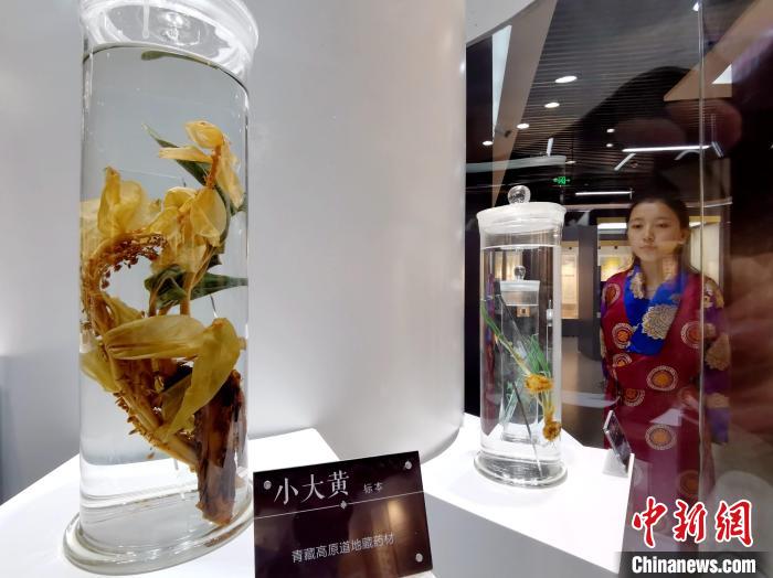 青海中藏醫(yī)藥發(fā)展提速：建設(shè)一批重點(diǎn)?？茖W(xué)科，推廣一批適宜技術(shù)