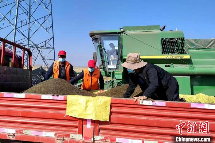 圖為合作社工作人員準(zhǔn)備播種。(資料圖) 張海蓮 攝