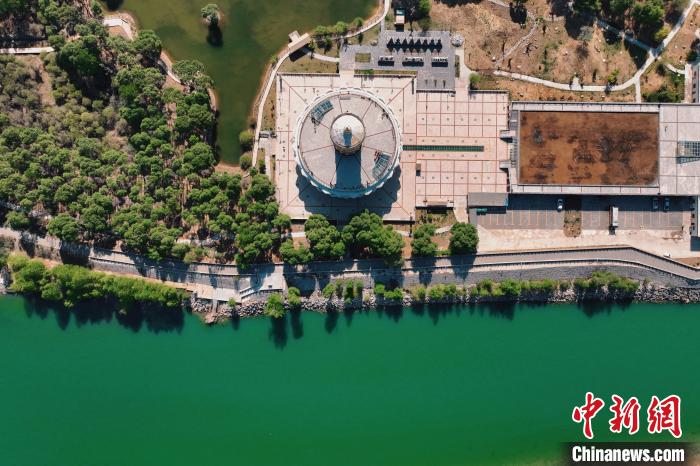 航拍青海貴德黃河岸畔綠意濃濃?！≮w凜松 攝