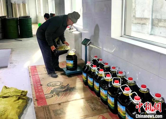 圖為高原油菜籽榨出的菜籽油。　張得存 攝