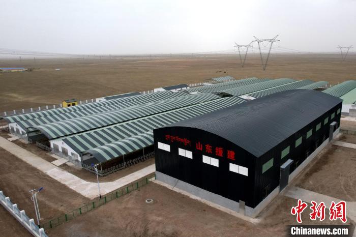 圖為航拍生態(tài)畜牧業(yè)集中規(guī)模化養(yǎng)殖基地?！〔讨绢?攝
