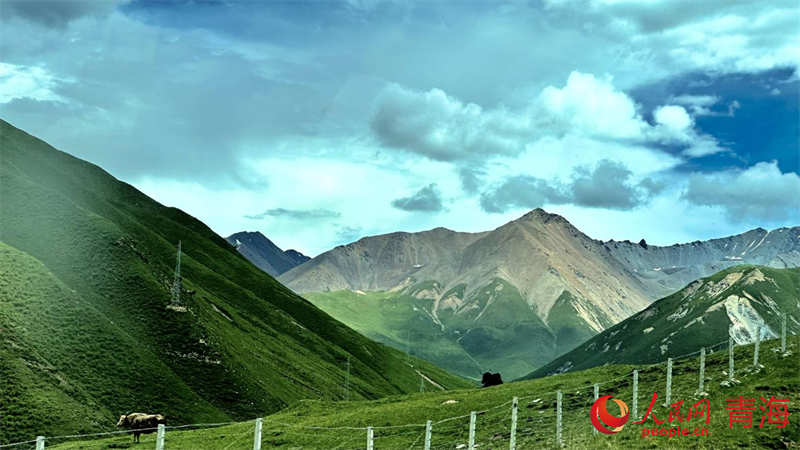 果洛風(fēng)光。人民網(wǎng) 劉沛然攝