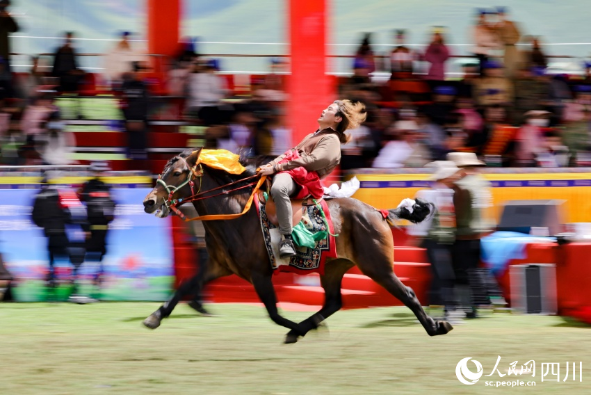 馬術(shù)表演現(xiàn)場。洛絨尼瑪攝