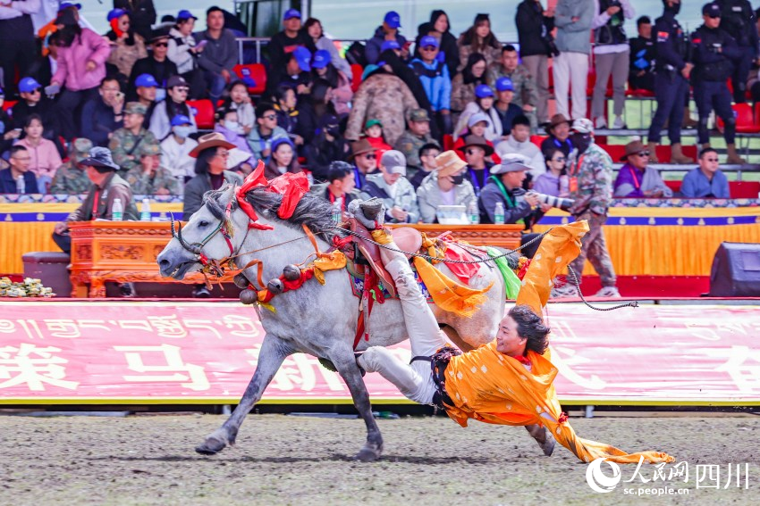 馬術(shù)表演現(xiàn)場。洛絨尼瑪攝