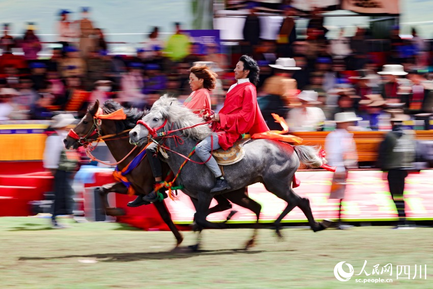 馬術(shù)表演現(xiàn)場。洛絨尼瑪攝