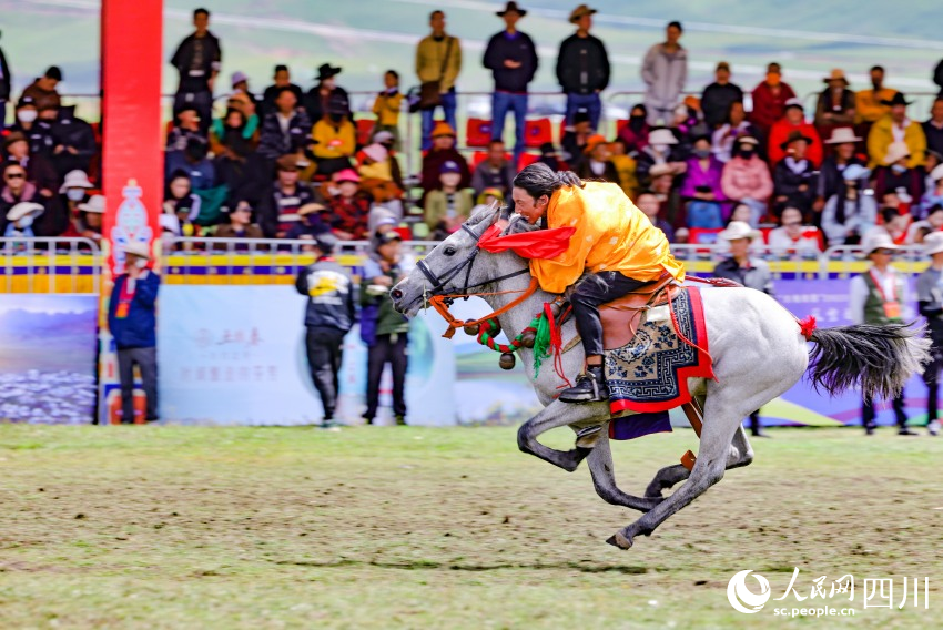 馬術(shù)表演現(xiàn)場。洛絨尼瑪攝