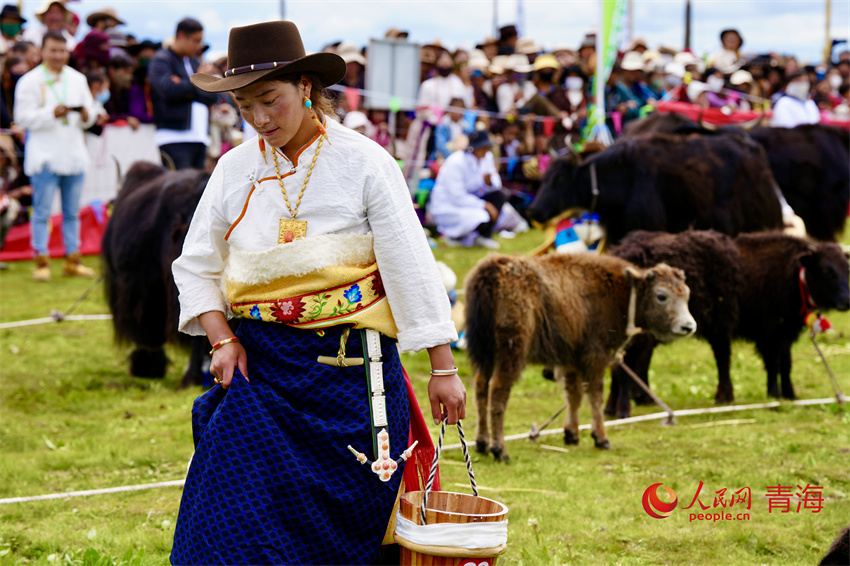 擠牦牛奶大賽。人民網(wǎng) 陳明菊攝