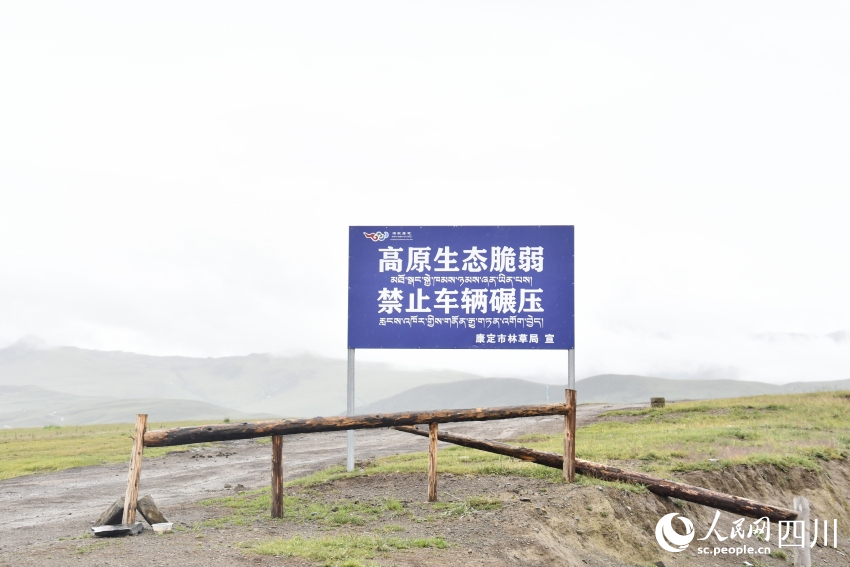 禁止車輛碾壓草原的提示牌。人民網(wǎng)記者 王洪江攝