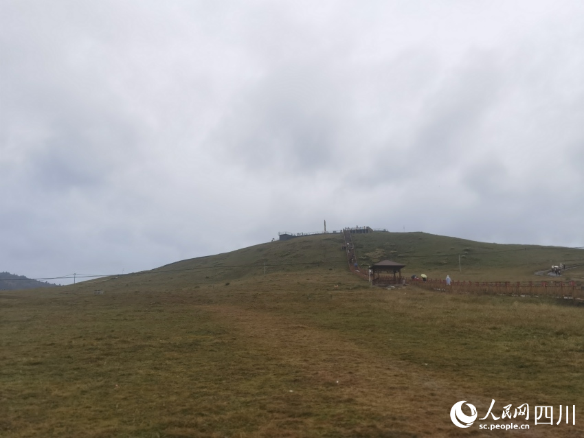 甘孜州塔公草原。人民網(wǎng)記者 王洪江攝
