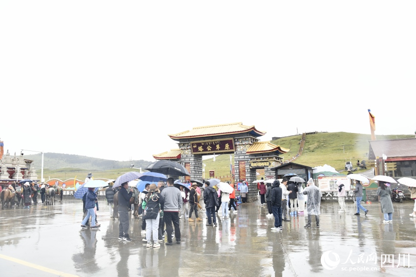 甘孜州塔公草原。人民網(wǎng)記者 王洪江攝