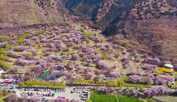 世外桃源！一組圖告訴你，西藏林芝桃花能有多美