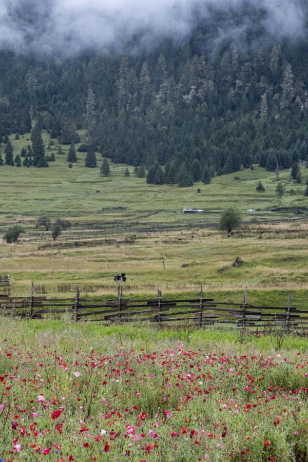 跟我，踏上最美“景觀大道”
