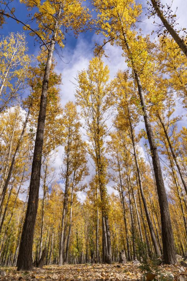跟我，踏上最美“景觀大道”