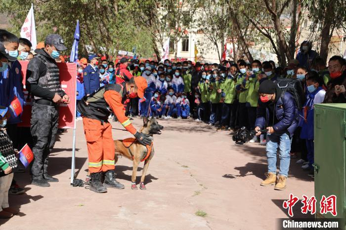 圖為搜救犬服從和箱體搜救演練?！≮w琳 攝