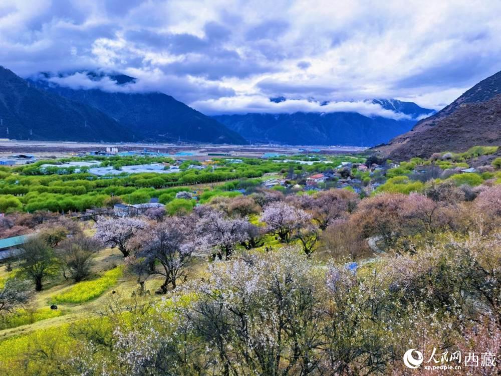 桃花從中的“童話小鎮(zhèn)”。人民網(wǎng) 李海霞攝