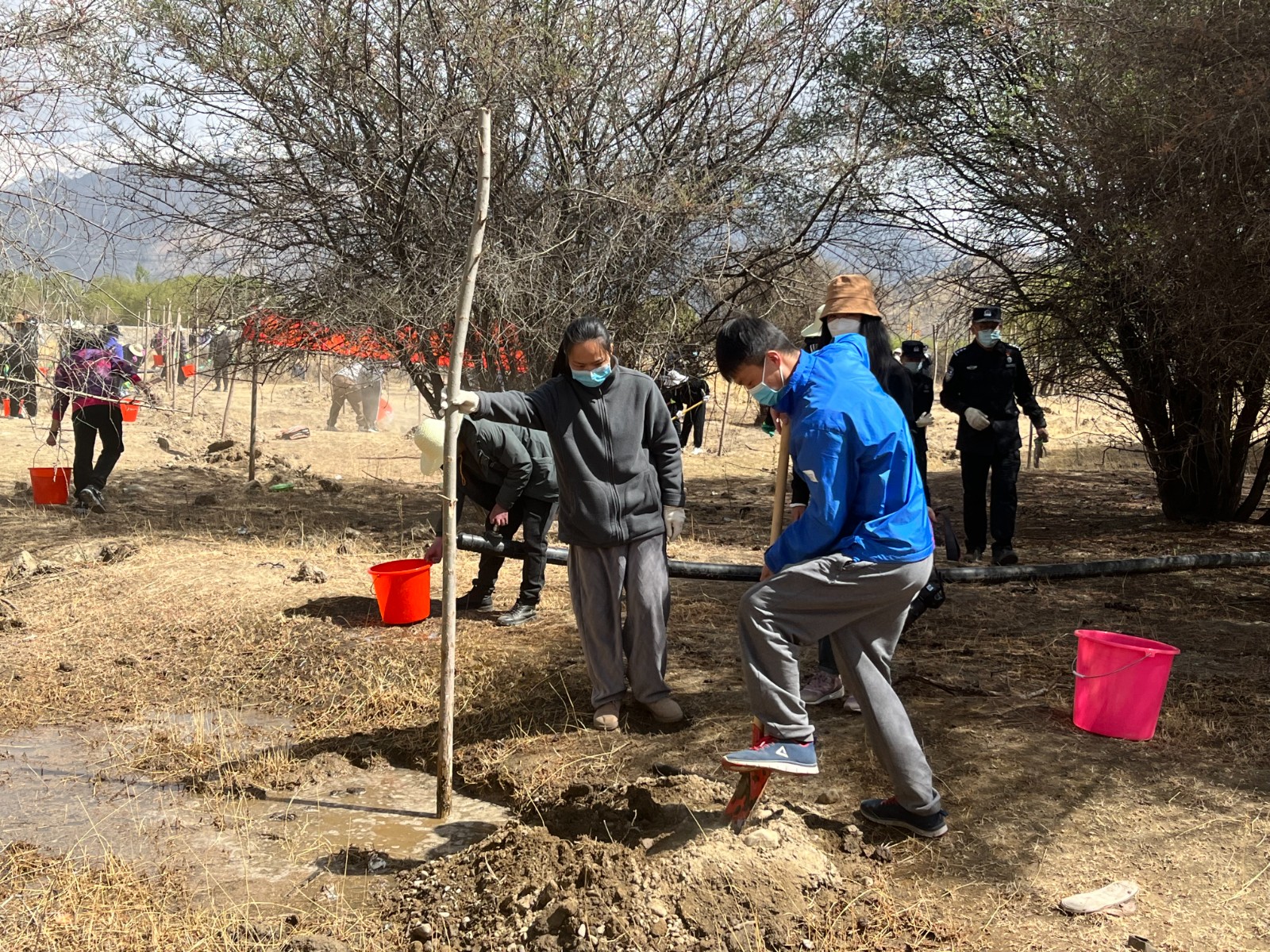 植樹現(xiàn)場(chǎng)，大家分工明確，配合默契(2000565)-20220420090303.jpg