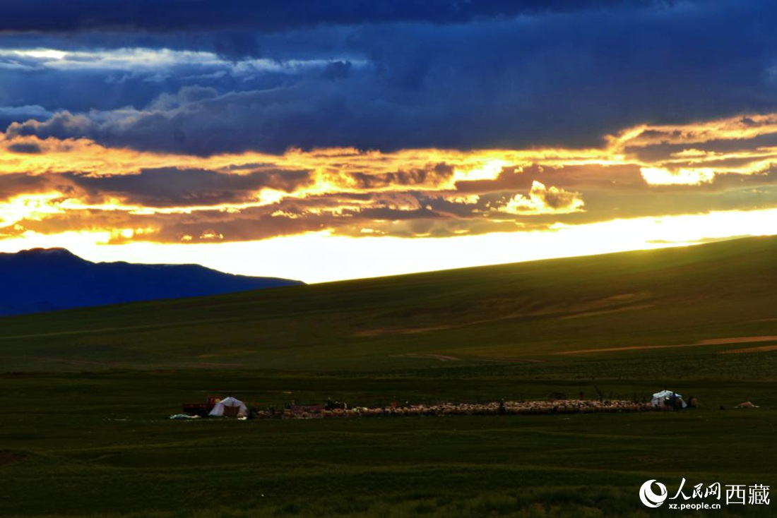 黃昏下的帳篷，牧民過著幸福生活。 人民網(wǎng) 李海霞攝